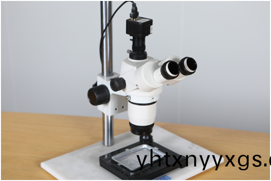 20171217764935.png image.png